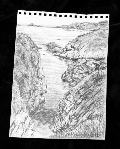 pencil sketch of Point Lobos