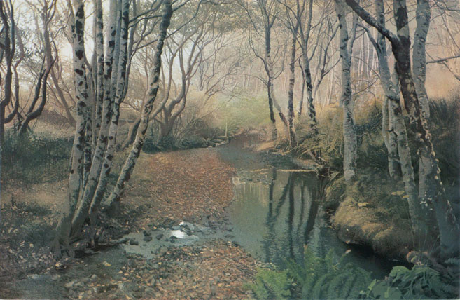 Alder Creek