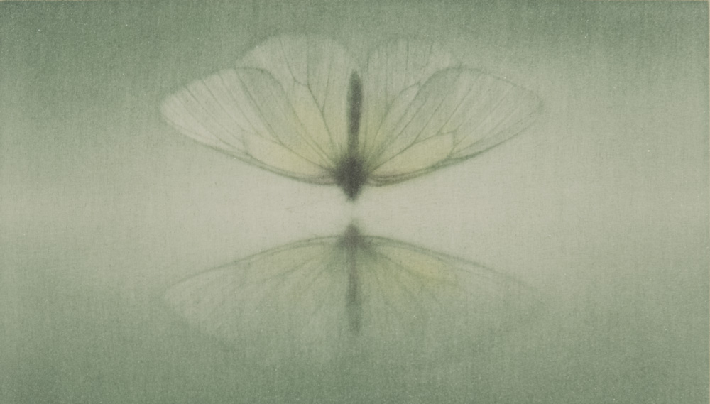 Mirage a collection of five mezzotints with original haiku poetry by Victor Ortiz