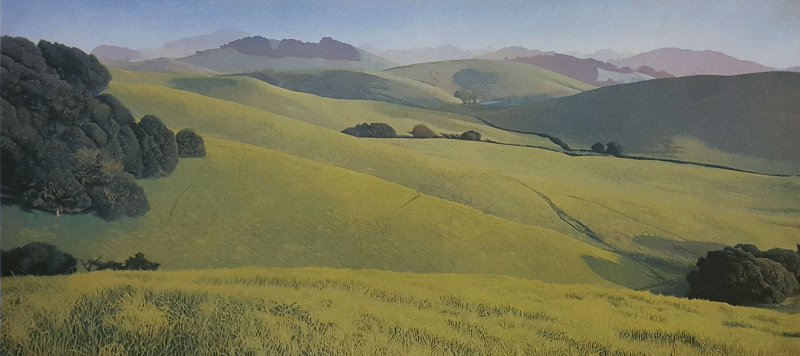 California Hills by Stephen McMillan
