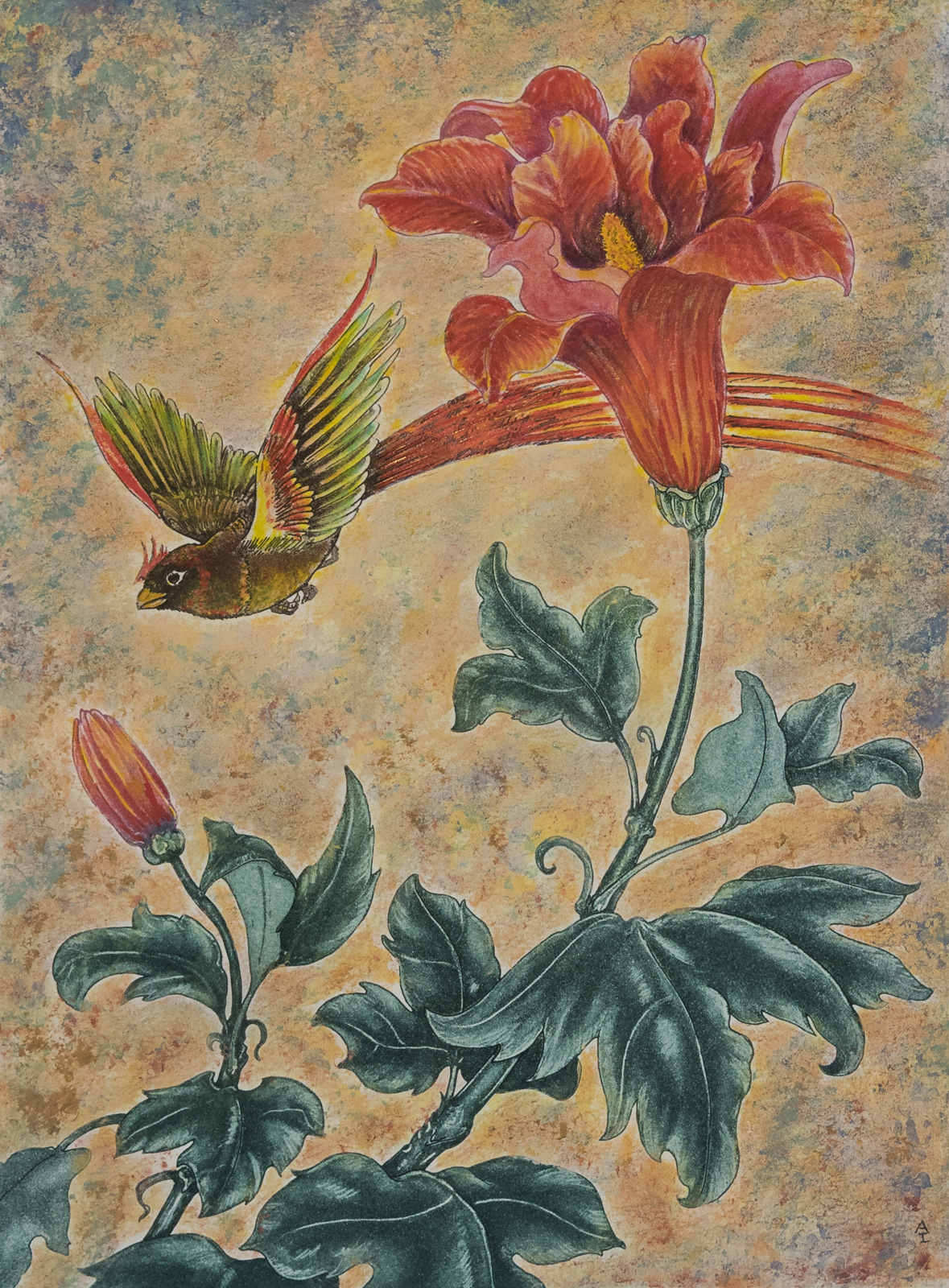 Trumpet Flower and Chestnut Mannekin