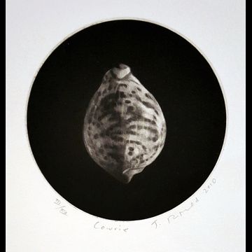 Cowrie Mezzotint Engraving this image is from Judith's fine art book "Nacre" 50 impressions were made for the book plus 20 "loose" prints numbered using Roman numerals  image size approx: 4 7/8" round unframed price $250.00