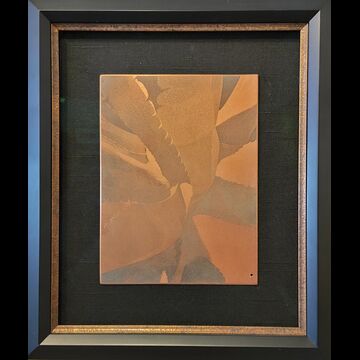 Century Plant print and framed copper plate