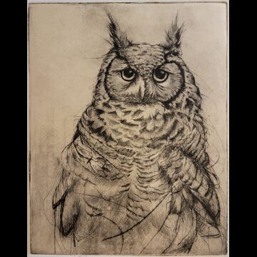 I Know but I won't Tell (Great Horned Owl)