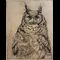 I Know but I won't Tell (Great Horned Owl)